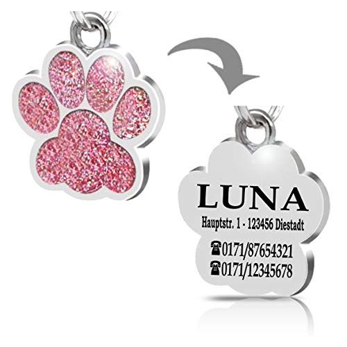 Placa Chapa de identificación Personalizada para Collar Perro Gato Mascota grabada (Dorada)