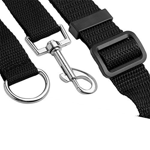 Ploopy D-Ring Correa de Adiestramiento para Perros, Correa Larga de Rastreo para Perro Ideal Paseo o Amarre (Negro, 15m)