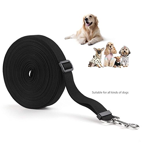 Ploopy D-Ring Correa de Adiestramiento para Perros, Correa Larga de Rastreo para Perro Ideal Paseo o Amarre (Negro, 15m)