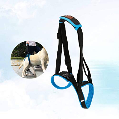 POPETPOP 1PC Durable Creativo Azul Práctico Escalera para mascotas Cinturón auxiliar Suministros para mascotas Accesorios para perros para perros con lesiones por deformidades antiguas