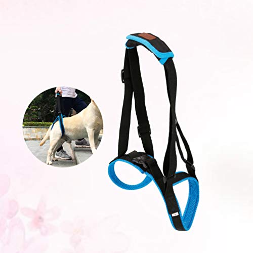 POPETPOP 1PC Durable Creativo Azul Práctico Escalera para mascotas Cinturón auxiliar Suministros para mascotas Accesorios para perros para perros con lesiones por deformidades antiguas