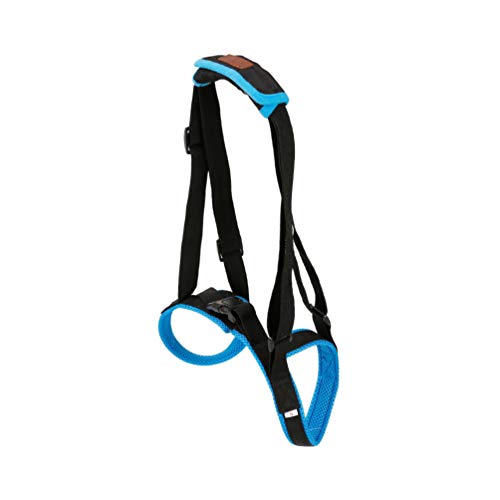 POPETPOP 1PC Durable Creativo Azul Práctico Escalera para mascotas Cinturón auxiliar Suministros para mascotas Accesorios para perros para perros con lesiones por deformidades antiguas