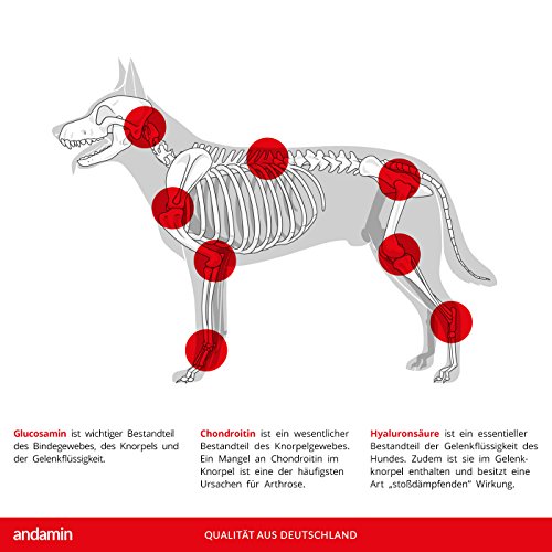 Protección Articular | Articulación Pastillas para Perros | de Apoyo a Las articulaciones y tendones | Dolor artrosis | MSM, Glucosamina, harpagófito Chon droitin, ácido hialurónico & vitaminas