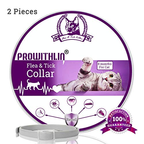 prowithlin Collar Antipulgas y Antigarrapatas para Gatos, Collar Impermeable Ajustable, Solución Natural contra Pestes para Gatos Jóvenes, 36 cm 8 Meses Talla Única para Todos los Gatos