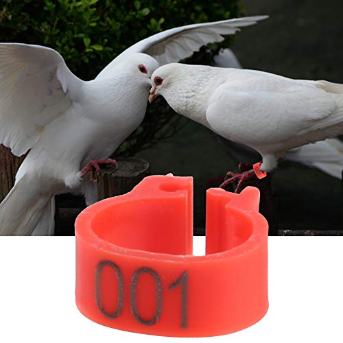 Pssopp Anillos de Patas de pájaros Bandas de Patas de pájaros Anillos de Patas de Aves de Corral de plástico Anillos de Clip numerados de Paloma Anillos de Patas de 8 mm para Aves (Rojo)