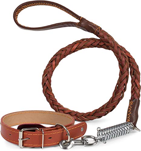 Puccybell Collar de Perro de Cuero con Tachuelas y Correa de Perro (1,2 m) en Conjunto, Collar para Perros y Correa Trenzada con Amortiguador HLS003 (M, marrón)