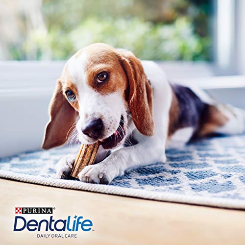 Purina DentaLife - Aperitivos de Cuidado Dental Diario para Perros