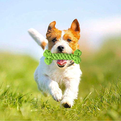 Queta Dog Chew Toys,Squeaky Durable,Indestructible Toys Puppy Teething Toys 11 Pack Dog Rope Toys Cotton for Small Large Dogs