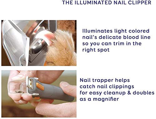 Queta Pet Nail Clipper, Cortauñas para Perros y Recortadoras de uñas de los pies, Tijera para uñas de Mascotas Ideal para Gatos y Perros, Características Luz LED