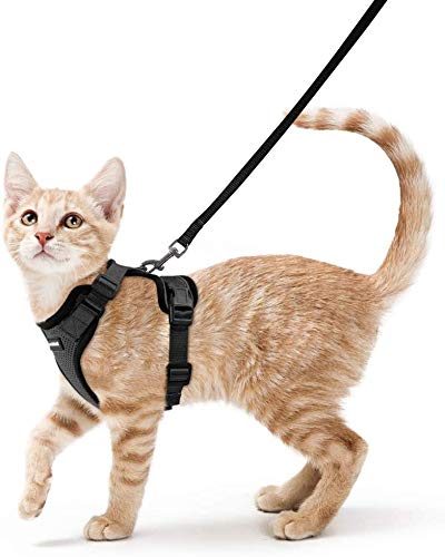 rabbitgoo Arnés para Gatos y Correa 150 cm Cuerda Chaleco Ajustable Antitirones Cómodo Material fácil de Poner y Quitar para Entrenamiento Seguridad Arnes para Perro Conejos Mascotas Pequeño S Negro