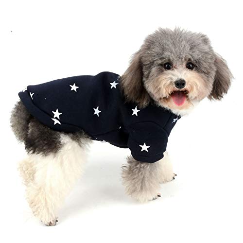 Ranphy - Abrigo de Forro Polar para Perro, chándal para Invierno, Chihuahua, Ropa para niña, Ropa de algodón cómoda