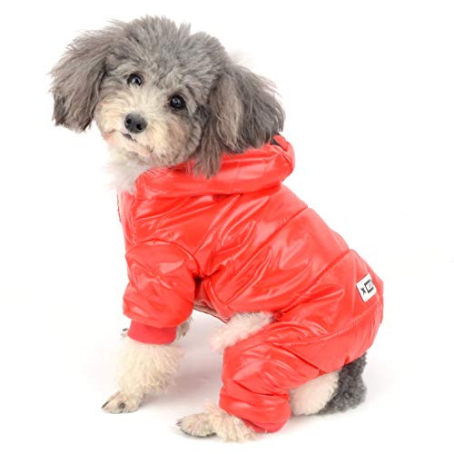 Ranphy - Mono Impermeable para Perro con Forro Polar y Capucha para Invierno