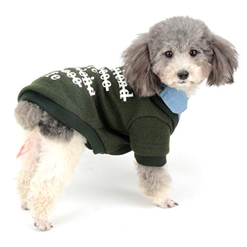 Ranphy Sudadera de Punto para Perro, Perros pequeños, Chicas, de Invierno, con Cuello