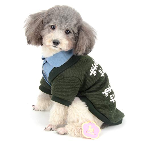 Ranphy Sudadera de Punto para Perro, Perros pequeños, Chicas, de Invierno, con Cuello