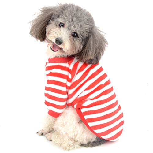 Ranphy suéter de Terciopelo para Perro pequeño, suéter para Cachorro, Sudadera Suave, para niña, niño, Invierno, cálido, con Capucha, a Rayas, para Chihuahua, Juguete, caniche