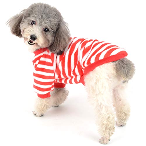 Ranphy suéter de Terciopelo para Perro pequeño, suéter para Cachorro, Sudadera Suave, para niña, niño, Invierno, cálido, con Capucha, a Rayas, para Chihuahua, Juguete, caniche