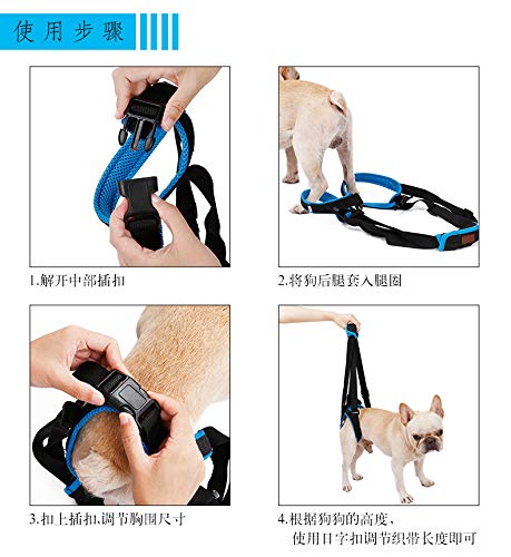 RC GearPro Arnés de elevación para Perros para Patas traseras, Soporte para Mascotas Honda para Ayuda Piernas débiles Levantarse Artritis lesionada(L, Azul)