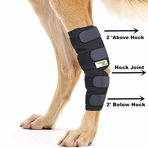 RockPet Órtesis Curadora Articulación Pata Trasera de Perro Envoltura Canina de Corvejón (M)