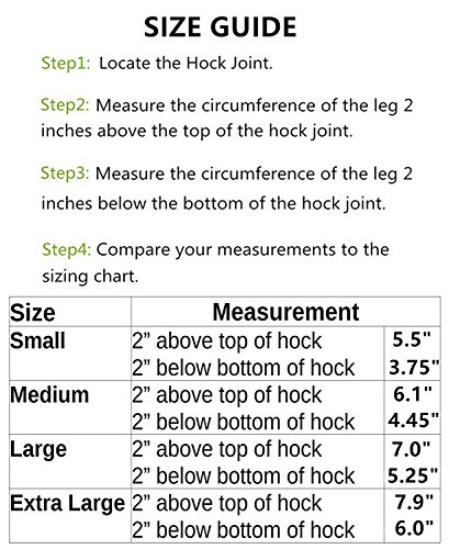 RockPet Órtesis Curadora Articulación Pata Trasera de Perro Envoltura Canina de Corvejón (M)