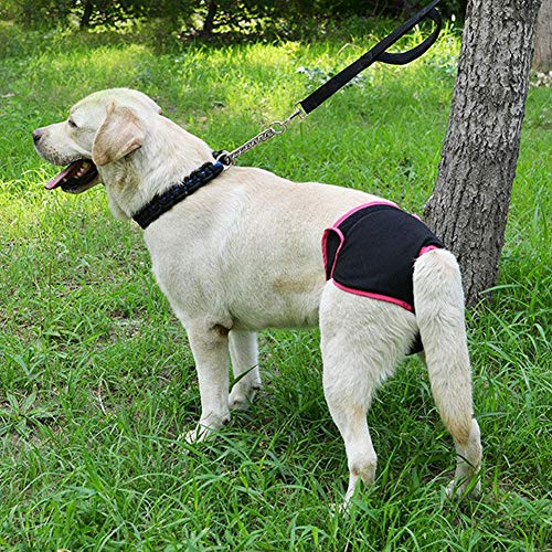 Ropa interior para perros, Algodón suave y cómodo para mascotas, Mascotas sanitarias, Pantalones fisiológicos para cachorros, Pañales para perros, para perros pequeños, medianos y grandes(Negro,L)