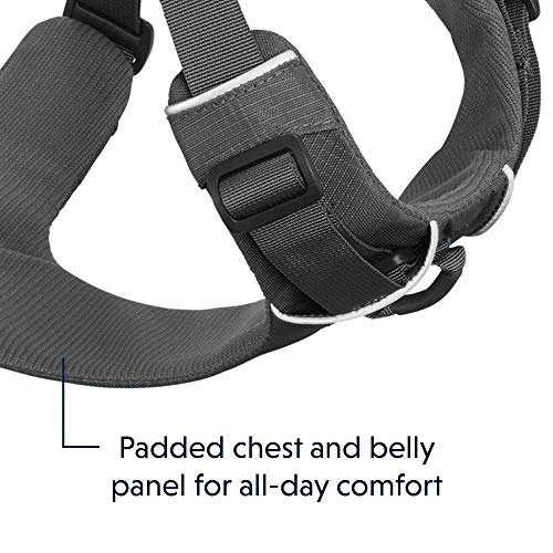 RUFFWEAR Front Range™ Harness