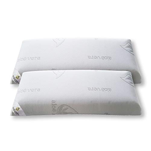 Seasons-Pack 2 Almohadas Viscoelásticas 70 cms, Antiácaros y Antibacterias , tejido Aloe Vera Hilo de Plata.Doble funda