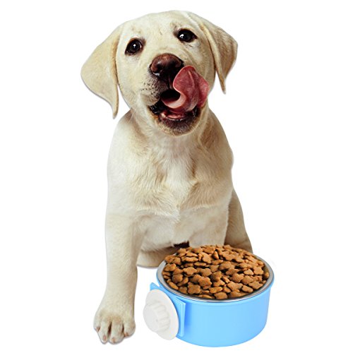 ShareWe Cuencos para Perro Gato Animal Mascotas Acero Inoxidable Platos 2 en 1 Colgando Cuenco Comedero para Gatos Perros Conejos Pequeño Animal Comida y Agua (Azul)