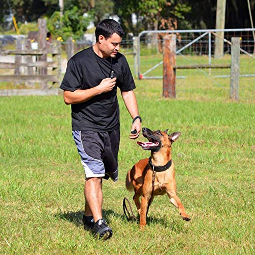 Silbato Ultrasonidos para Perros,Silbato de Ultrasonidos,Silbato de Entrenamiento para Mascotas,Perros Silbato,Silbato de Perros,para Entrenamiento de Perros y Control de Descortezos