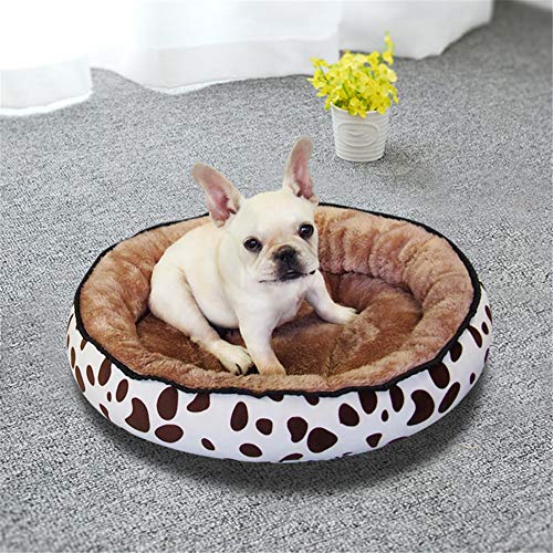 SimidunEUR Cama de Gatos y Perros Pequeños Redonda y Cálida Cama para Mascotas Cojín de Gato Lavable de Cama Lecho Ovalado，Café Leche 1,S (40 * 30CM)