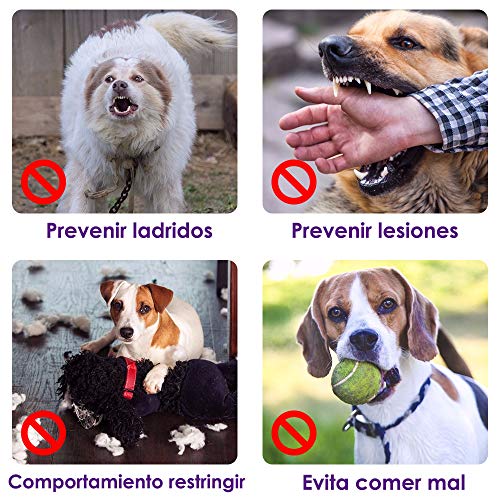 SlowTon Bozal para Perros, Lazo Ajustable, Acolchado Suave de Franela, bozales cómodos, Transpirables y Seguros de Ajuste rápido para Perros pequeños Masticar y ladrar (M, Morado)