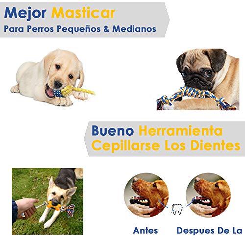 SlowTon Juguetes para Perros, Juego de 5 Juegos de Cuerdas Juego de Juguetes para la dentición del Cachorro Juguetes para Tirar y Tirar Jugar con un algodón 100% Natural Juguete