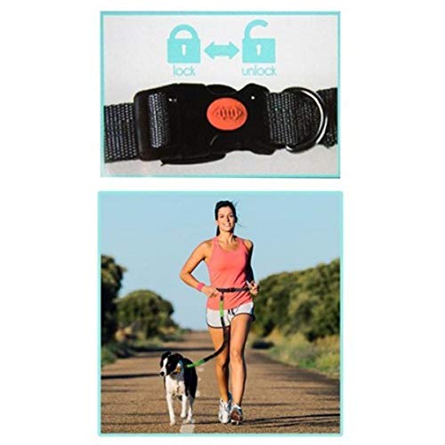 Smart Choice - Correa Ajustable para Correr con Manos Libres para Perro, Cinturón de Cintura