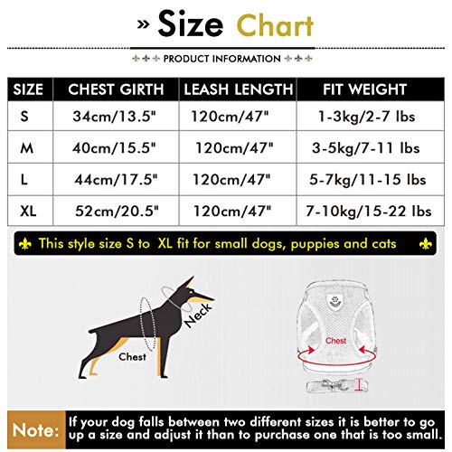 Smille_Lucky_Store - Arnés y Correa Reflectante de Malla Suave para Perros y Gatos pequeños, sin tirones, con Hebilla Ajustable
