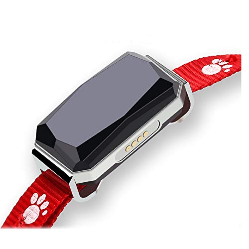 SPORS Beidou GPS Collar de posicionamiento de Mascotas, rastreador de Perros multifunción LBS Seguimiento Inteligente