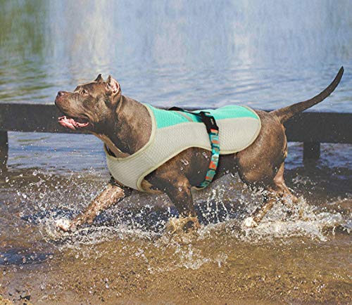 SPORS Ropa de enfriamiento para Perros de Verano para Mascotas, Chaleco de Golpe de Calor de Verano, Ropa para Perros de Mascotas-Orange-M