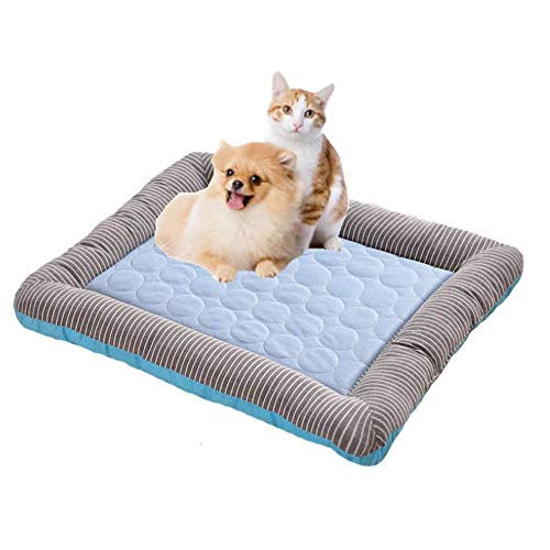 Sticker superb Medio Perro Cama, Rosado Azul Máquina Lavable Estera Colchón, Verano Suave Colchón Antideslizante para Animal Perro Gato Conejo, Perrito Perrera (76x58cm, Azul)