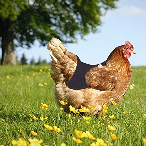 succeedw Arnés para Pollo Protector para La Espalda De Las Aves De Corral - Gallo Gallo Chaleco para Mascotas Noche Reflectante Ajustable para Pollo Y Pato - Chaqueta Negra