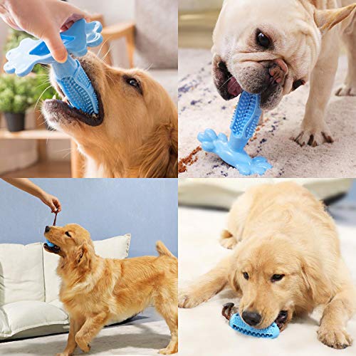 SZDPC Cepillo de Dientes para Perros, Conjunto de 2 Piezas, Juguete para Masticar,Caucho Natural no tóxico, Cuidado Dental para Perros Limpieza de Dientes (M, Azul)