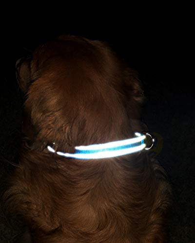 TagME Collar de Perro Reflectante Personalizado,Placa de Acero Inoxidable,Grabado con Nombre y Número de Teléfono,Deslizar en Las Etiquetas de Identificación del Perro,Azul Claro