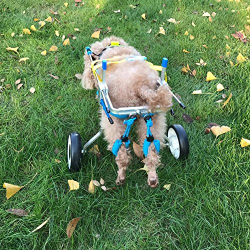 Teabelle - Silla de ruedas ajustable para perro, para rehabilitación de piernas para perros pequeños con minusvalía, perros y cachorros (2 ruedas)