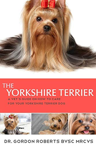 The Yorkshire Terrier: A vet's guide on how to care for your Yorkshire Terrier dog