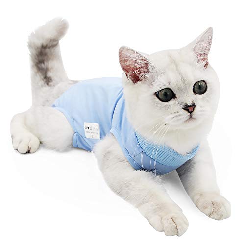 Traje de recuperación Profesional para heridas Abdominales o Enfermedades de la Piel, Alternativo para Gatos y Perros, después de la cirugía, Ropa para el hogar