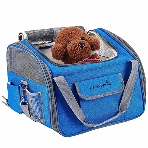 Transportin para perros Transportadora para gatos Bolso para transportar mascotas en coche, Azul Claro