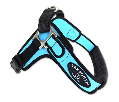 Tre Ponti Vajilla Forza Con Borde Negro Color Azul Claro So – 65 cm hasta aprox. 10 – 20 kg