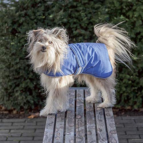 Trixie Abrigo Perro Ropa Mascotas – Chaqueta Capa Chaleco Perro Grande Pequeño Mediano Perros Accesorios Belfort Talla S 40cm Azul