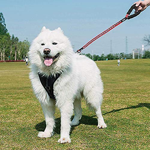 TUFFHOUND Correa de Perro de Bungee de Servicio Pesado | Mango cómodo de Neopreno | Hardware de aleación de Zinc | Líder de Entrenamiento Perros medianos a Grandes