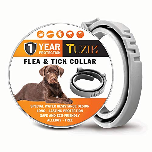 TUZIK Collar para Control de pulgas y garrapatas, 12 Meses, Control de pulgas y garrapatas, para Perros, Tratamiento Natural, Herbal, no tóxico, protección Impermeable y Ajustable Mejor Collar