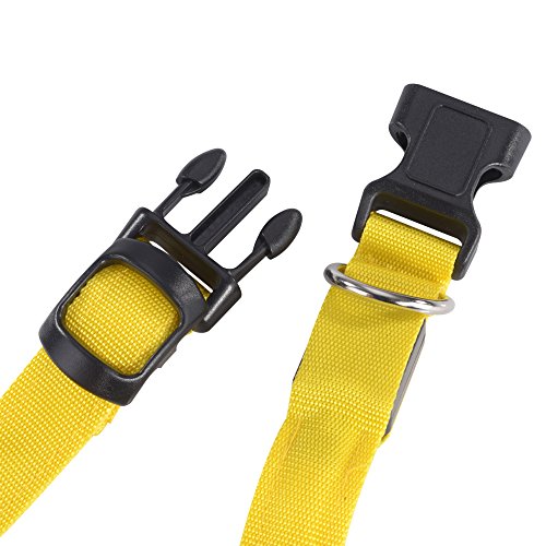 Ultron 142446 - pet collars (Perro, Amarillo, 38,1 cm)