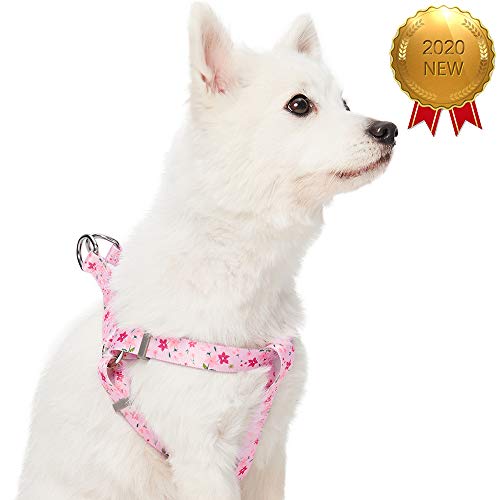 Umi. by Amazon - Made Well - Arnés para perros con estampado de flores M, contorno del pecho 51-66 cm, arneses ajustables para perros (rosa)