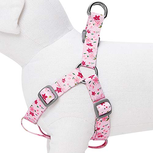 Umi. by Amazon - Made Well - Arnés para perros con estampado de flores M, contorno del pecho 51-66 cm, arneses ajustables para perros (rosa)